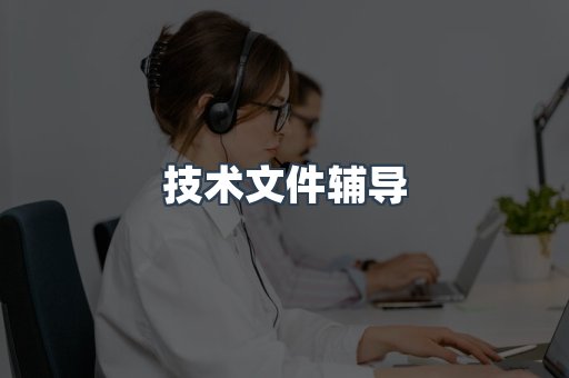 技术文件辅导