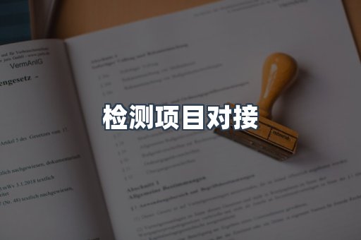 检测项目对接